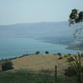 Israele-Palestina 2011